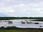DSCN6596.JPG