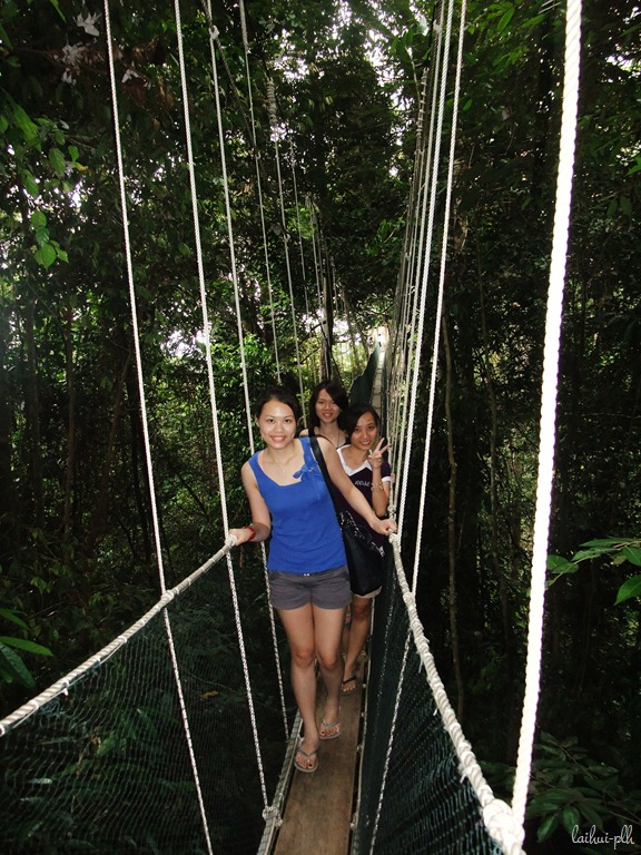 [DSCF87268.jpg]