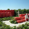 DSCF0145.JPG