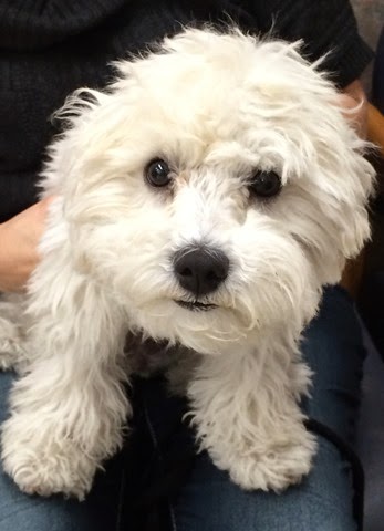 [020%255B3%255D.jpg]