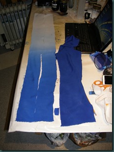 PB100004 Ombre test