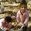 2013-10-18 12.53.10.jpg