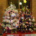P1210495.JPG