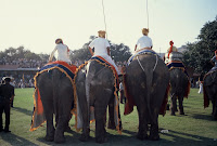 Playing Elephant Polo - Jaipur