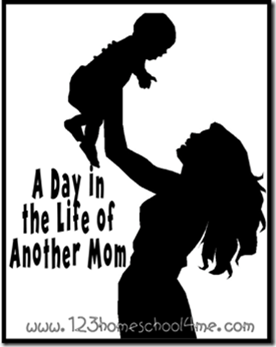 A Day in the Life of Another Mom Series A Day in the Life of Another Mom Series