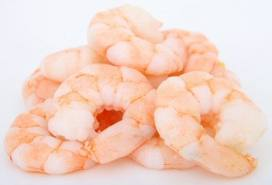 [shrimp3.png]