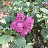 DSC_0499.jpg DSC_0499.jpg