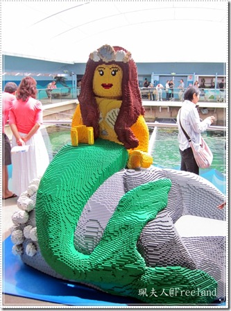 aquarium7