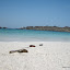 tour-punta-choros-isla-damas