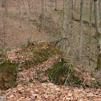 singold-bote_waldlehrpfad-schwabegg_017.jpg