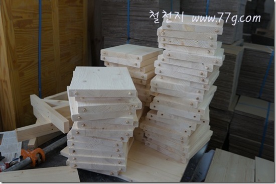 철천지DSC06531-20120321-114157 철천지DSC06531-20120321-114157