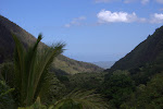 IMGP3352.jpg