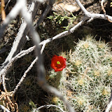DSC00075.JPG