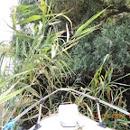 DSCN3091.JPG