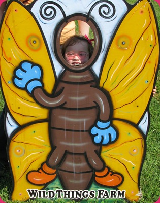IMG_2043 IMG_2043