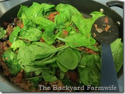 Greek pita tacos - The Backyard Farmwife