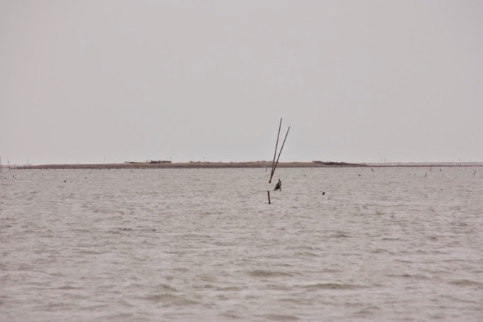 2014_0913_115411 2014_0913_115411