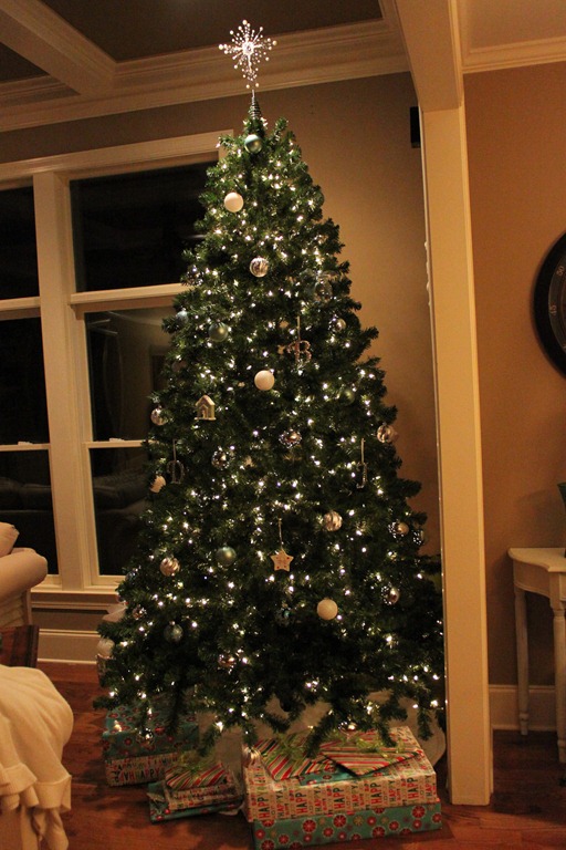 [Christmas%2520036%255B3%255D.jpg]