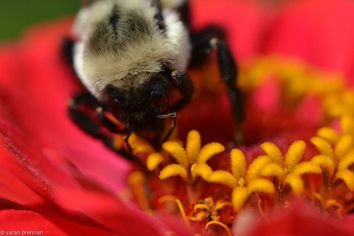 [DSC_0122%2520%252810%2529%255B3%255D.jpg]