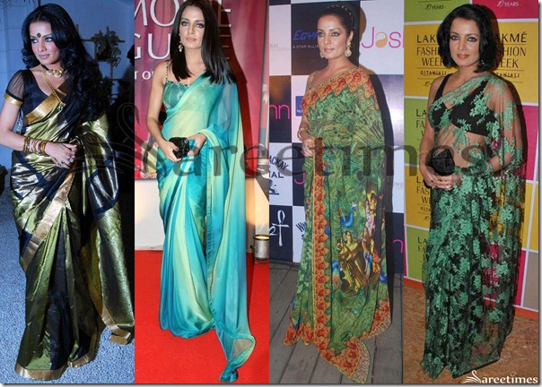 Celina_Jaitley_Sarees(1)