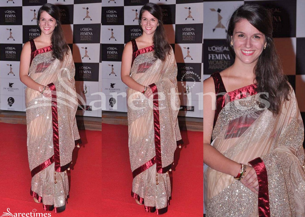 [Tan_Embroidery_Georgette_Saree%255B4%255D.jpg]