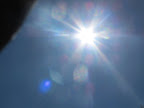 A nice and toasty bask in the spring sun!