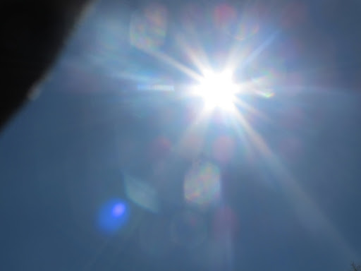 A nice and toasty bask in the spring sun!