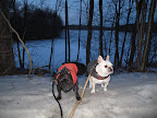 Wouldn't you know it!  Foiled again!  Unless you want to go ice fishing - but I've heard that's about as exciting as watching paint dry - we're going to have to wait until spring to catch our fish!  It might also be helpful to have a rod and some bait!
