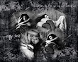 Amy Lee Collage