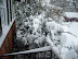 Shopper Stopper - Blizzard of '09