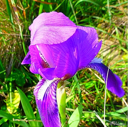 [P1080025%255B18%255D.jpg]