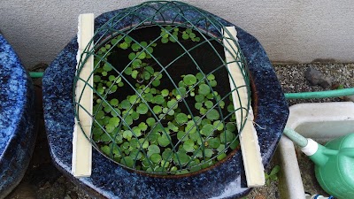 2014-07-14 06.57.19.jpg
