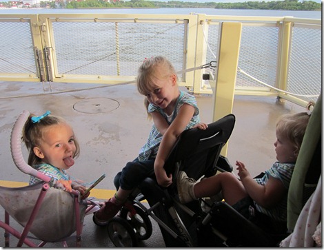 IMG_2564 IMG_2564