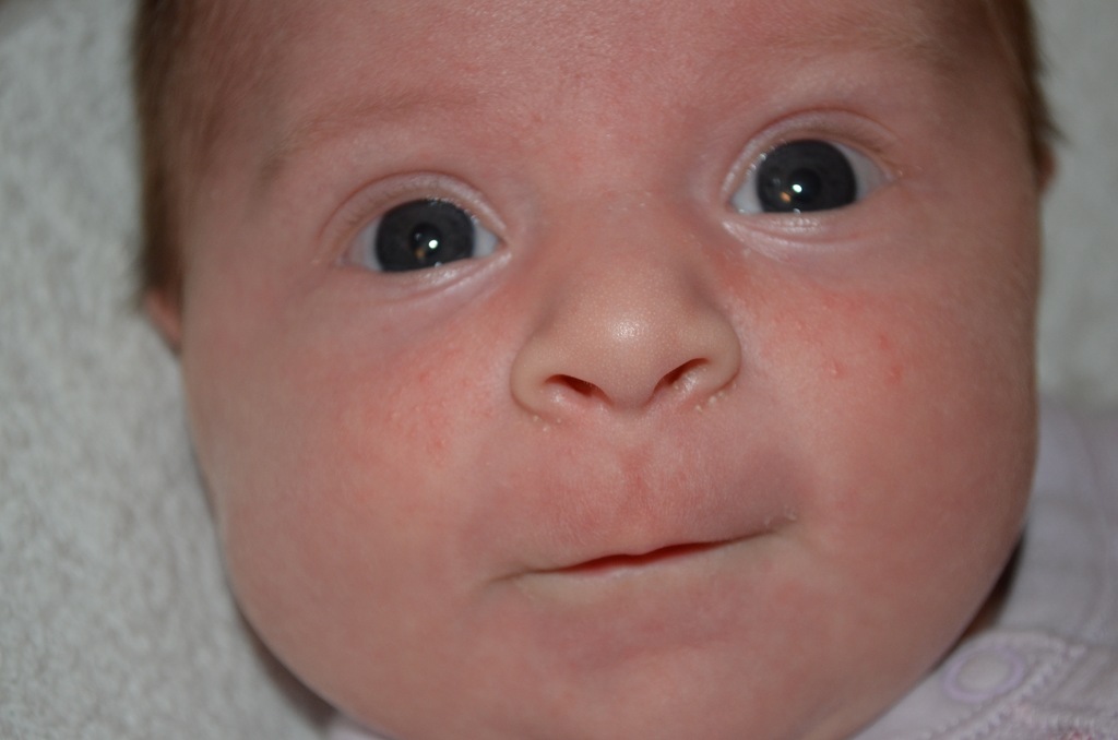 [DSC_3893%255B4%255D.jpg]