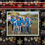 2011 Eindejaarswensen.