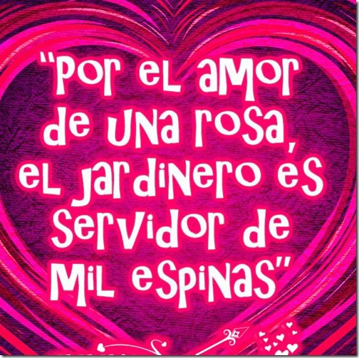 tantotantoamor (14) tantotantoamor (14)