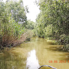 DSCN7250.JPG