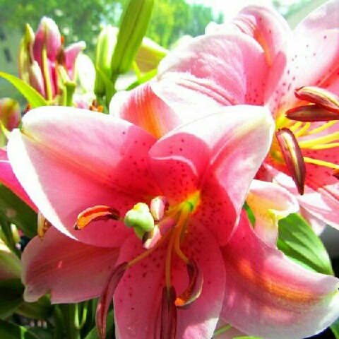 [IMG_20120714_1225225.jpg]