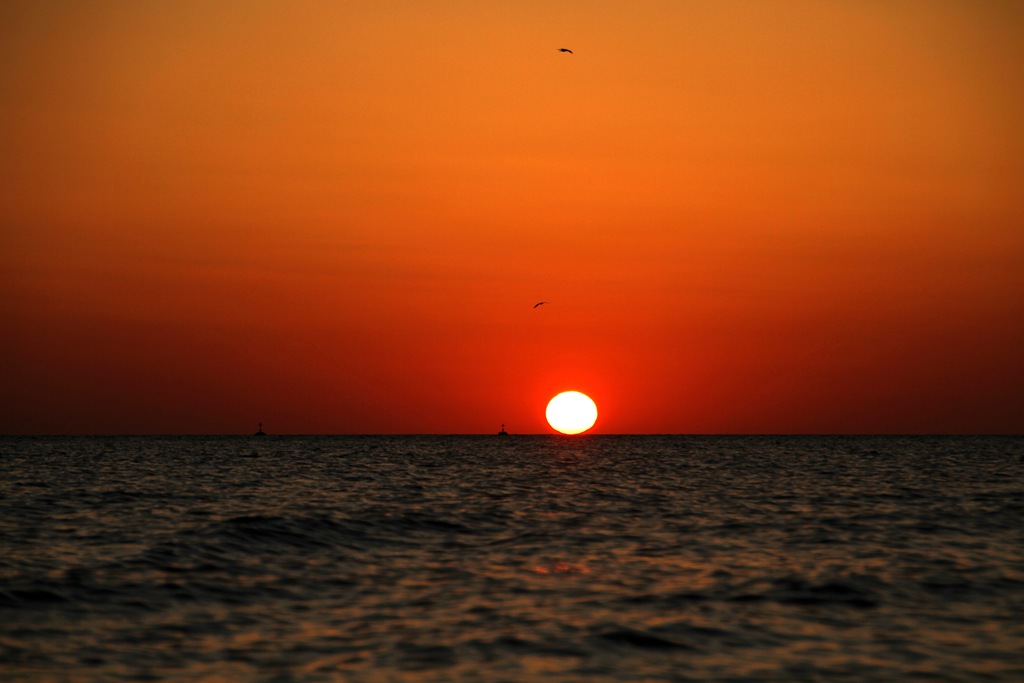 [IMG_6511%255B5%255D.jpg]