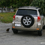 IMG_7249.JPG
