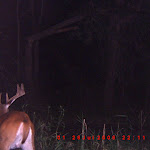 ICAM0018.JPG