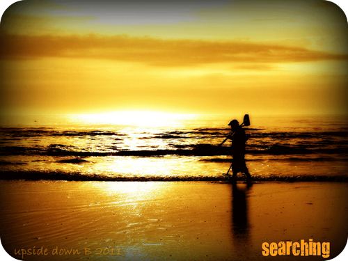 searching