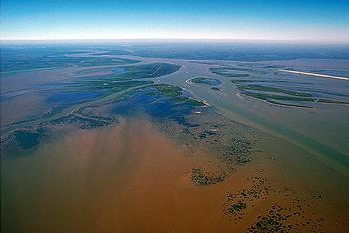 Brown runoff is visible at the mouth of the Atchafalaya River in Summer 2011. This year's dead zone in the Gulf of Mexico is roughly equal to the land area of the state of New Jersey, scientists said this week. At 6,765 square miles, this area of low oxygen is the 10th largest on record and is considered about average for the past five years. U.S. Army Corps of Engineers