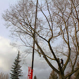IMG_0141.JPG