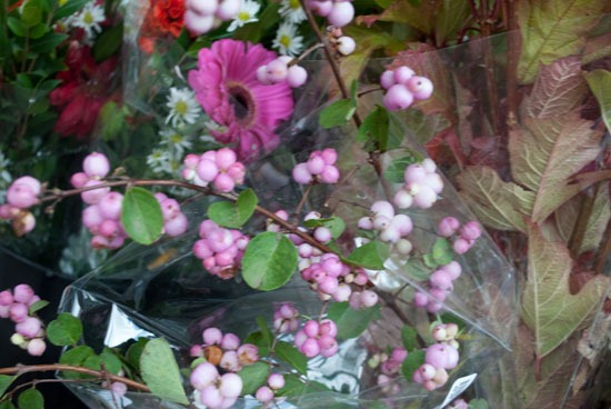 [DSC_1981%255B3%255D.jpg]