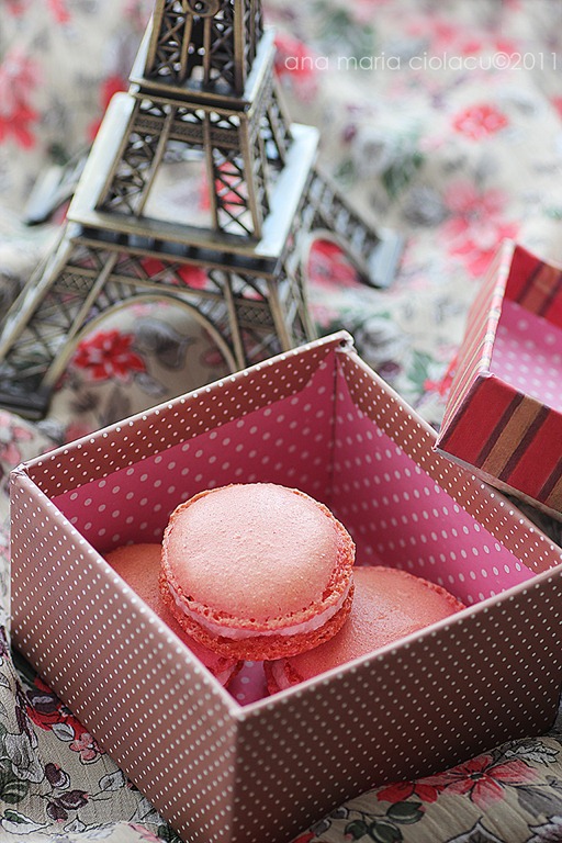 [Pink%2520macarons%25206%255B5%255D.jpg]