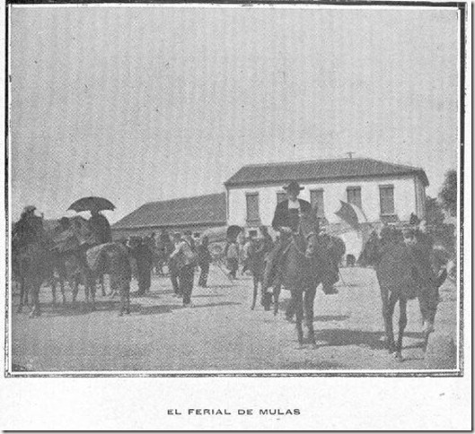 ferial de mulas ferial de mulas