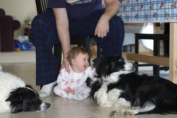 She loved the border collees at the Flatt house... Gwynne had basically addopted Sam after a few hours of confusion.