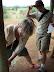 South Africa Day 1 - On Safari