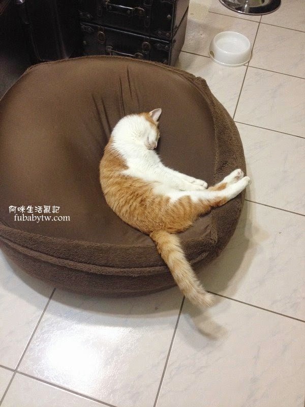 調整大小IMG_5454 調整大小IMG_5454